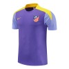 Atlético Madrid Trænings trøjer 2025-26 Lilla (S/S)